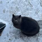 Надежда, фото