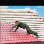 Александр, фото