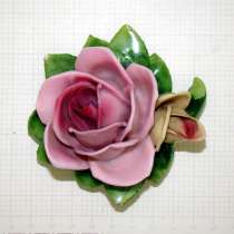 Роза фарфоровая Rudolf Kammer (V458), в Москве