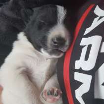 В самые любящие ручки, в Москве