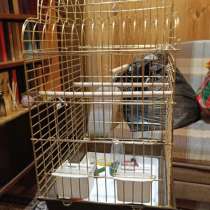 Клетка для средних попугаев, в Москве