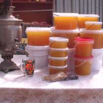 Мёд и продукты пчеловодства, в Туле