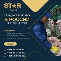 Трудоустройство в России — Белгород и Уфа, в г.Бишкек