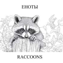 Еноты, на английском и русском языках, для детей и взрослых, в Москве