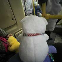 Белый мишка, мягкий, в Москве