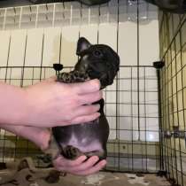 Продам, в Череповце