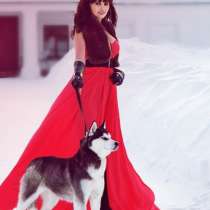 Щеночки Хаски Черно-белые голубоглазые, в Санкт-Петербурге