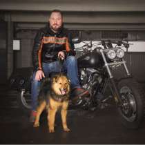 Буся - мальчик 1 год, в дар, в Москве