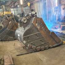 Скальник защищенный, в Санкт-Петербурге