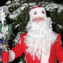 Дед Мороз для детей и взрослых, в Москве