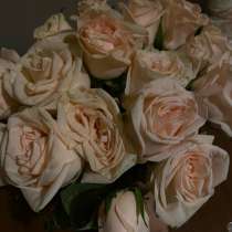 Цветы б/у, в Чебоксарах