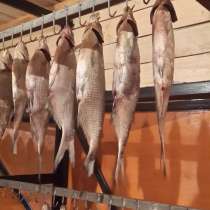Рыбный цех г. Шахты реализует вяленую рыбу оптои и в розницу, в Шахтах