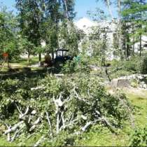 Удаление старых деревьев в Лобне, в Лобне