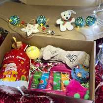 Новогодний подарок, в Москве