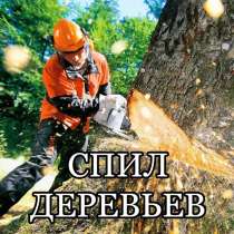 Распил деревьев, в Казани