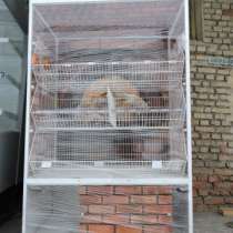 торговое оборудование Хлебный стеллаж, в Екатеринбурге