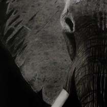 Картина в реализме, в Санкт-Петербурге