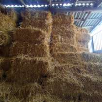 160р Грозный, в Грозном