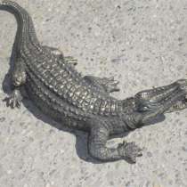 Крокодил бронзовый, в Белореченске