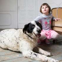 Благородный Герцог ищет семью, в Москве