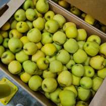 Яблоки Голден Осетия, в Краснодаре