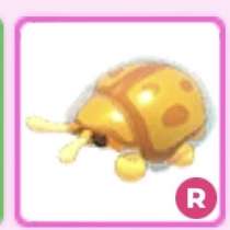 Пет из адопт ми, в Москве