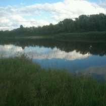 Берег реки Мокша, в Москве