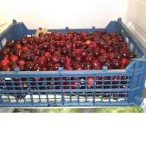 Пластиковые ящички "Мармитки", в Астрахани