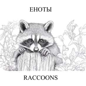 Еноты, на английском и русском языках, для детей и взрослых, в Москве