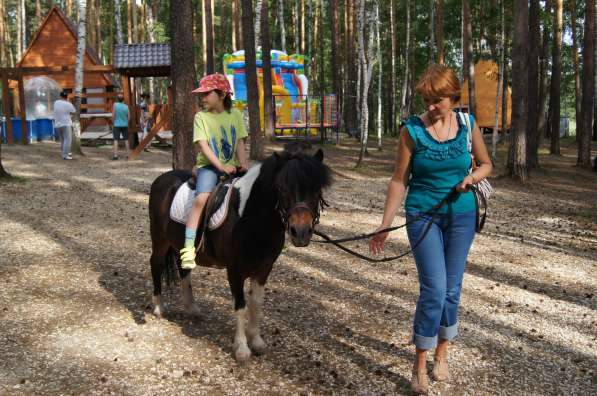 Пони и лошади на заказ в Екатеринбурге фото 5