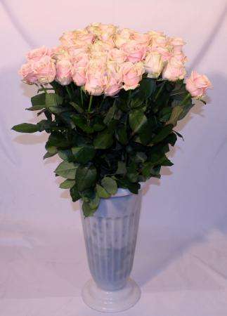 Бесплатная доставка длинных роз. Екатеринбург в Екатеринбурге