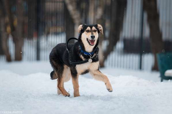 Рада &mdash; кареглазая красавица, полная любви, доброты в Москве фото 10