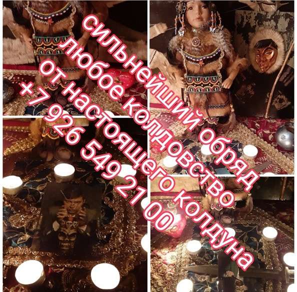 Книга в Сочи фото 8