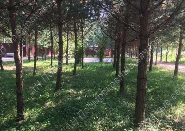 realty_mapper3.plot_in_locationИндивидуальное жилищное ст-во. Площадь 28.00 сот.Есть Электричество.