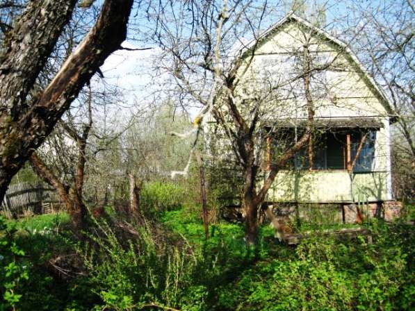 Летняя дача в Алешинских садах на 6 сотках, 30км. от МКАД в Москве фото 14