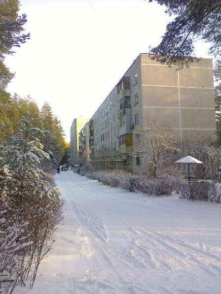 Тихая квартира в сосновом лесу в Конаково фото 4
