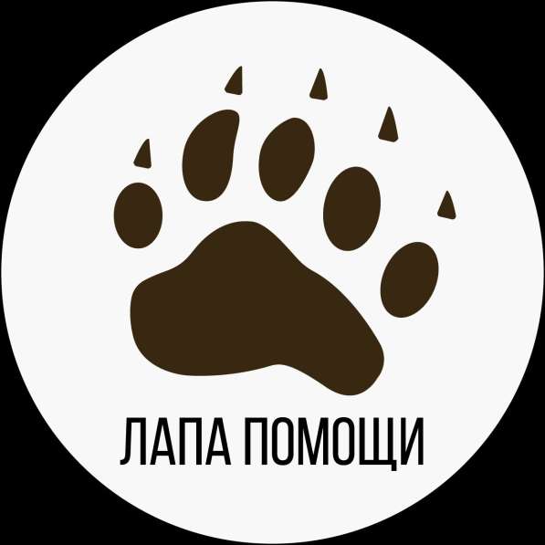 Ветеринарная служба