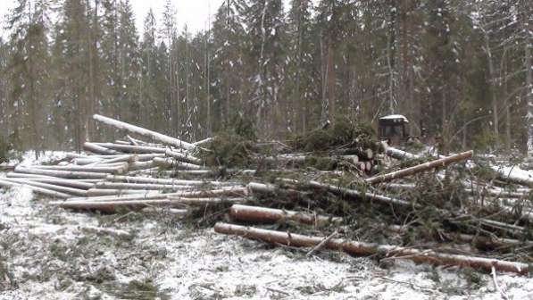 Лесозаготовительная база в Костромской области в Краснодаре фото 7