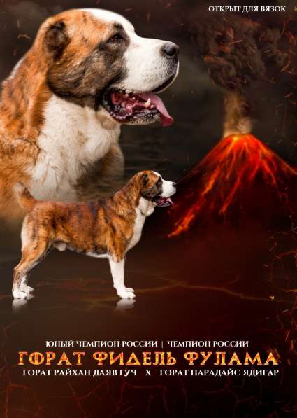 Вязка в Москве фото 6