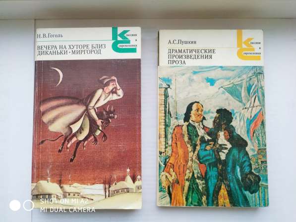 Классическая русская литература в Тюмени фото 8