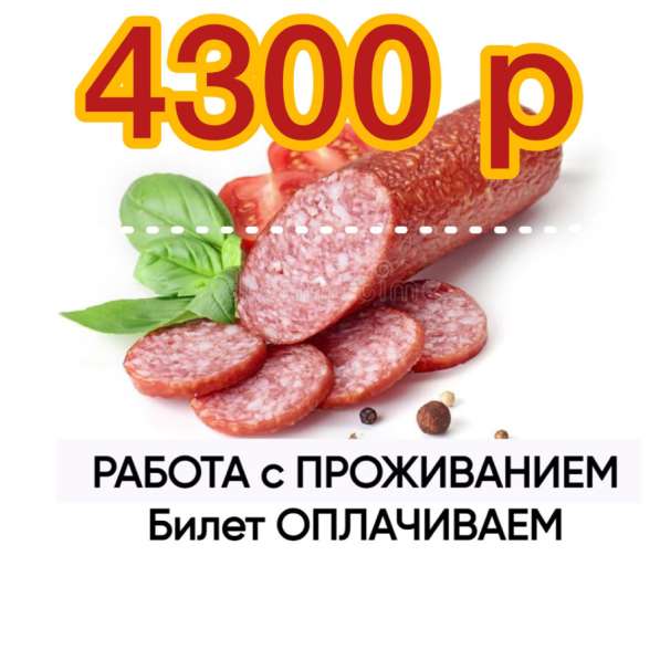 Вахта в Москве 15/15 проживание питание фасовщик