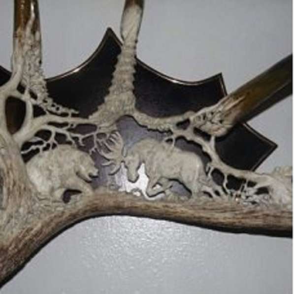 Изделия из рога лося в Москве фото 4