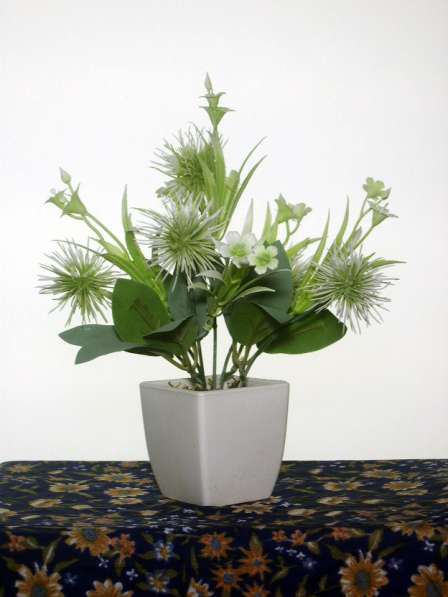 Растения интерьерные искусственные (цветы колючки) в Коврове в Коврове фото 3