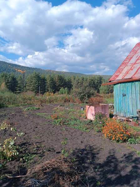 Сад в г. Белорецк в Магнитогорске фото 3