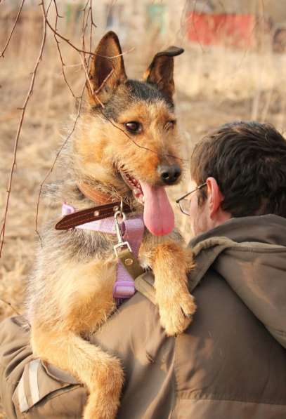 Джо и Ася ищут хоязина в Калуге фото 6