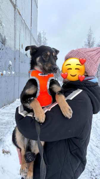 Маленькая лапочка ищет дом в Санкт-Петербурге фото 6