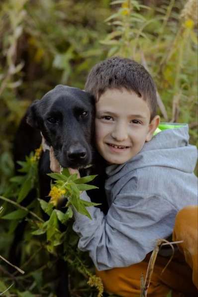 Чудесный Лорд ищет свою семью в Москве фото 4