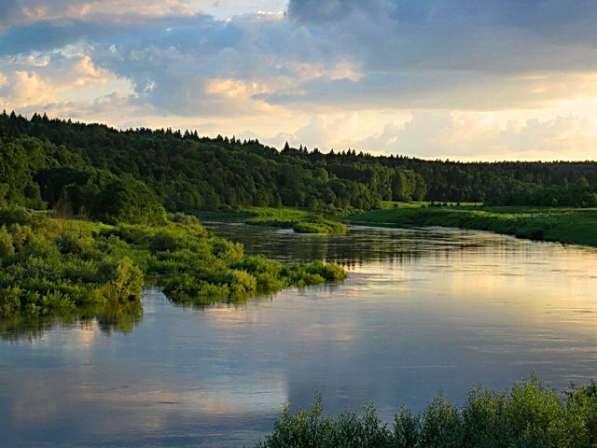 Земля в заповедных местах в Москве фото 9