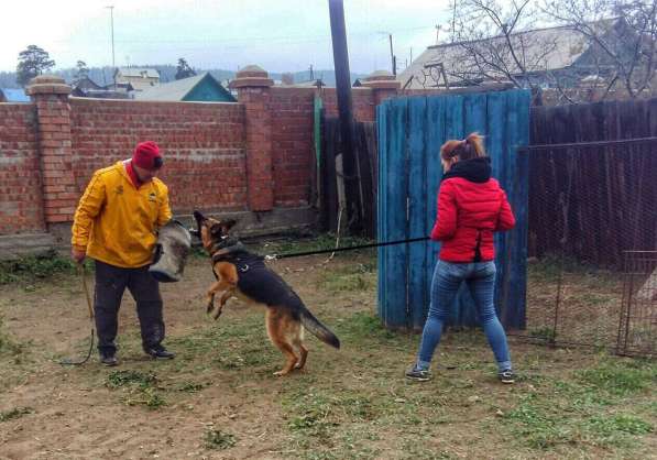 Дрессировка собак в Иркутске фото 3
