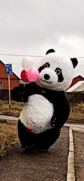 Панда ростовая белый мишка на праздники аниматор в Оренбурге фото 3